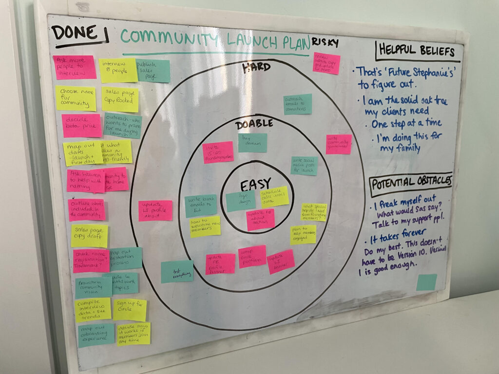 A picture of a completed courage-based plan. 3 concentric circles with the innermost one labelled doable, the next one moving out is easy, the third one is hard, and then the space around the largest circle is risky. Write the goal on the top, top right corner is for writing helpful beliefs, left side is for tasks that are done, and bottom right corner is for potential obstacles.